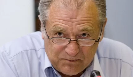 J.Veselka ir P.Gražulis abejoja, ar AE įstatymas atitinka Konstituciją