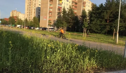 Užtvarai Šiaurės prospekte – jau praeitis
