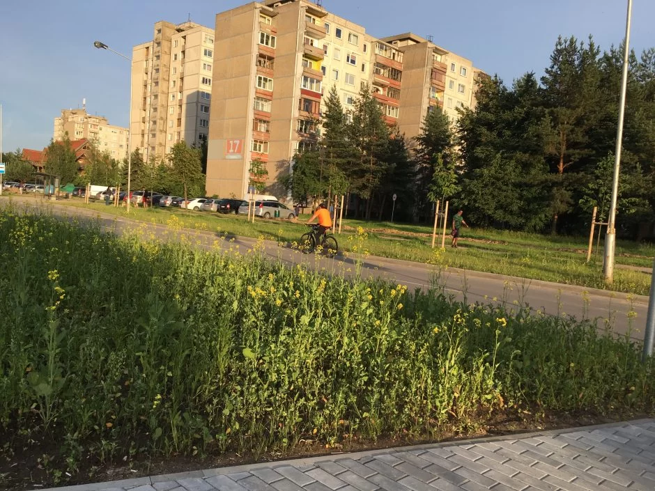Užtvarai Šiaurės prospekte – jau praeitis
