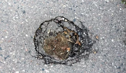 Gatvių duobės sekina kantrybę
