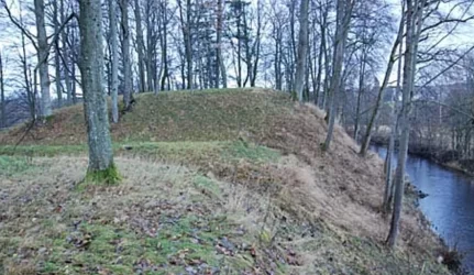 Žakainių šviesa priklauso ir nuo rinkimų