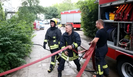 Medienos gamykloje kilo gaisras