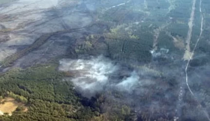 Plotai be kalnapušių žabos plintančią ugnį