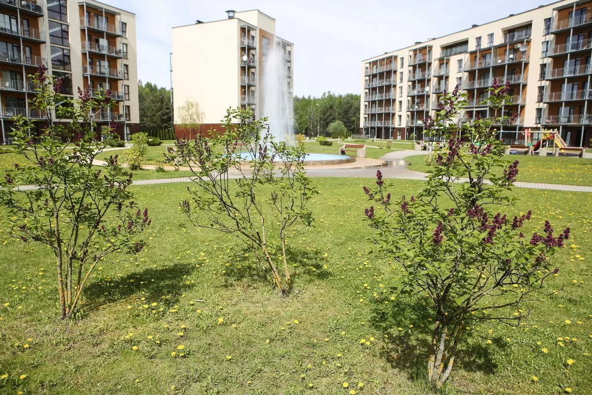 Už kiemų valymą – didesni mokesčiai