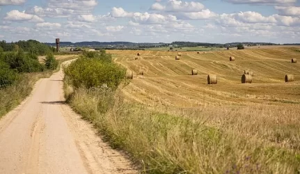 Aukcionuose – valstybinė žemė