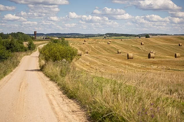 Aukcionuose – valstybinė žemė