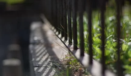 Gera žemė taps brangi