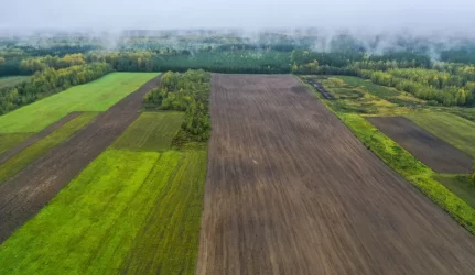Investuotojai įsigeidė hektarų