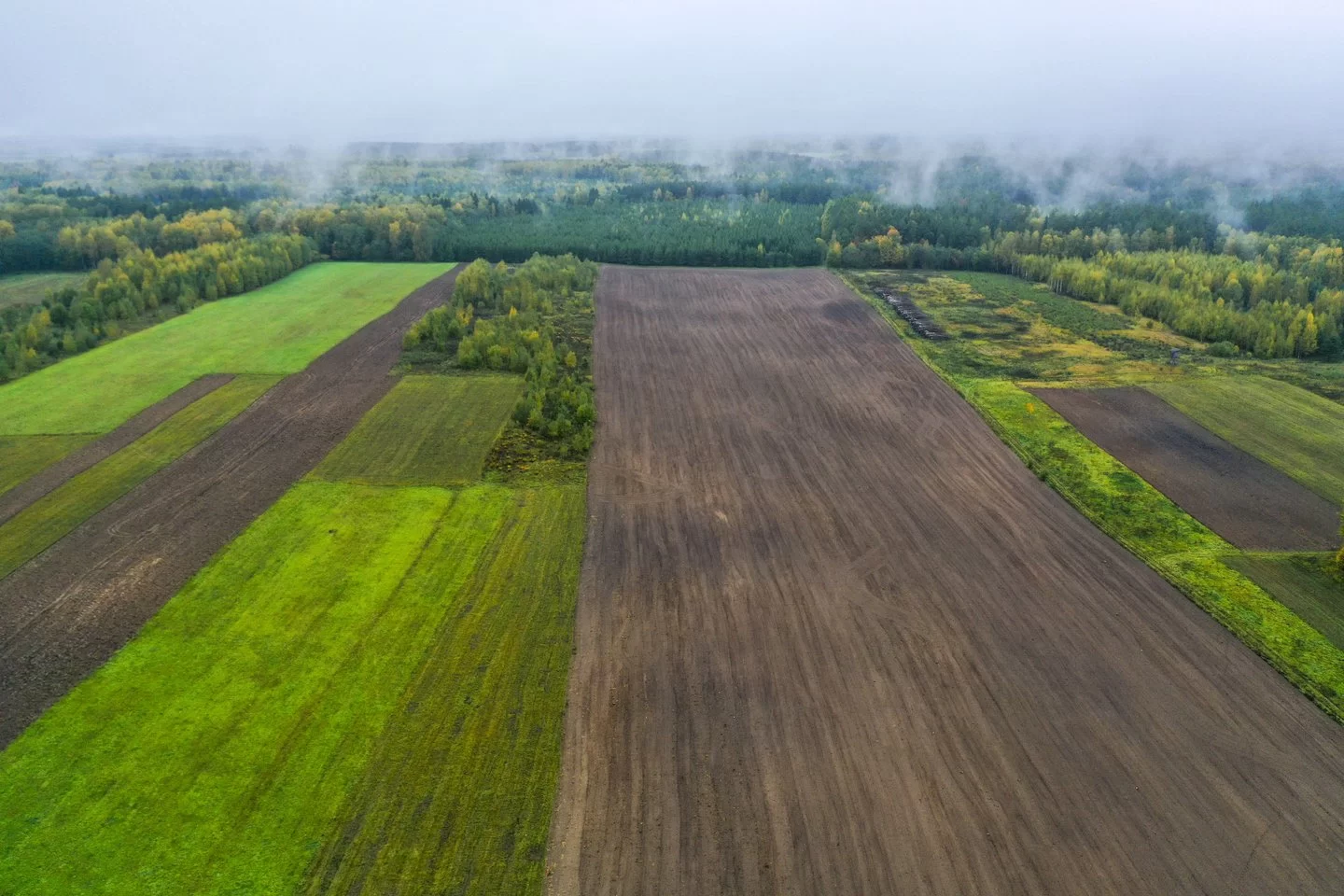 Investuotojai įsigeidė hektarų