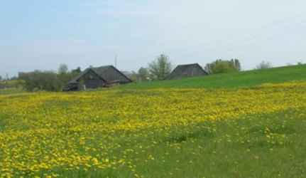Kaimo turizmo sodyba – tarp žmonių kapų