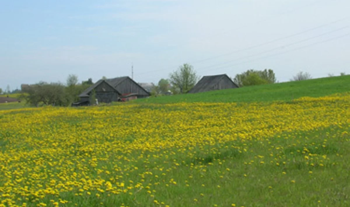Kaimo turizmo sodyba – tarp žmonių kapų