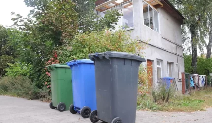 šiukšlių rinkliava