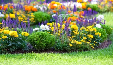 Naujose gyvenvietėse tvyro ne tik gėlių aromatai