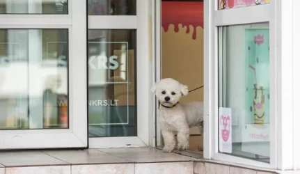 Daugiaaukščių saugumas patuštins kišenes