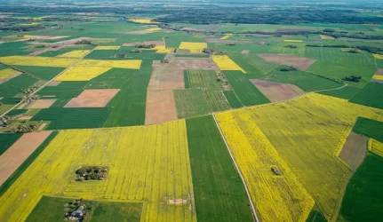 Žemės nuomos kaina išaugo dešimteriopai