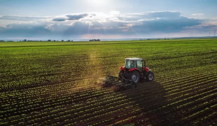 Svarstoma kreiptis į Konstitucinį Teismą dėl lengvatinio žemės pardavimo