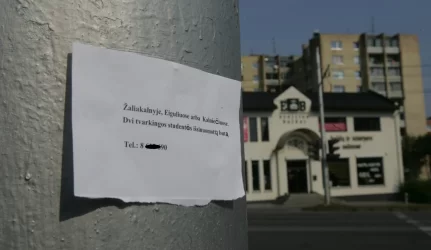 Butų nuomos kainos stabilizavosi?