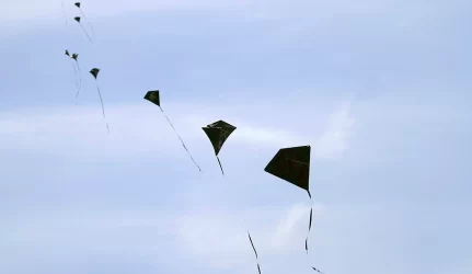 Paminėta Vėjo diena