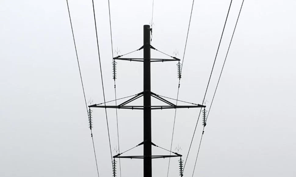 Sodininkų elektros įrenginiams – ES parama