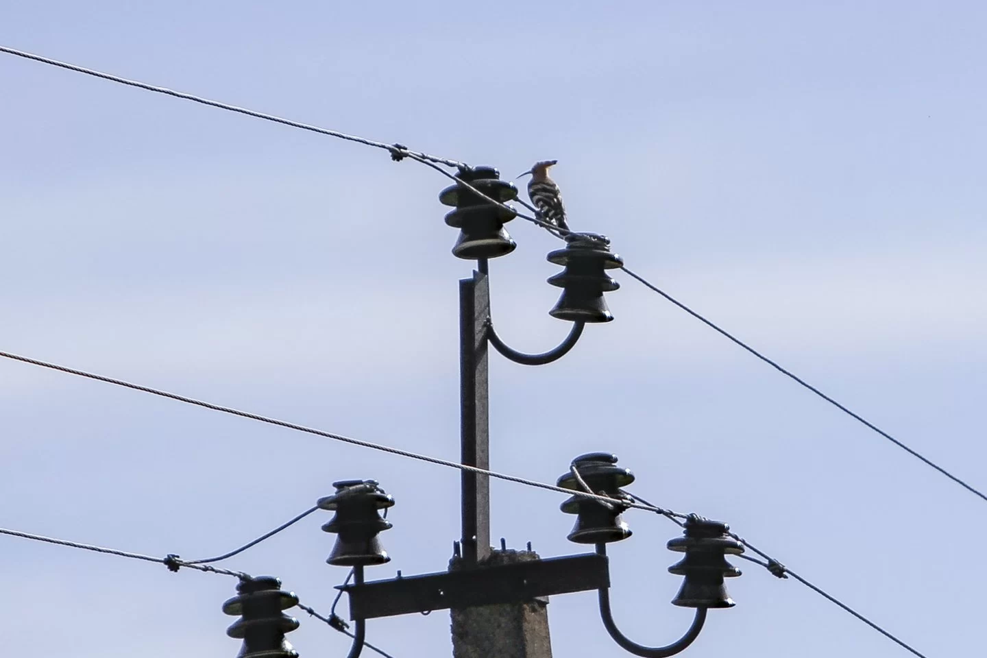 Elektros tiekėjai