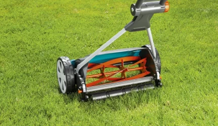 Angliška pievelė