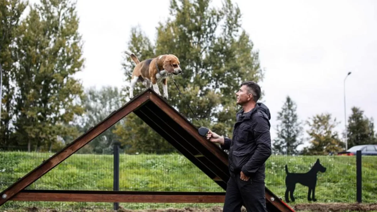 nauja aikštelė šunims