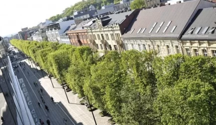 valdininkai