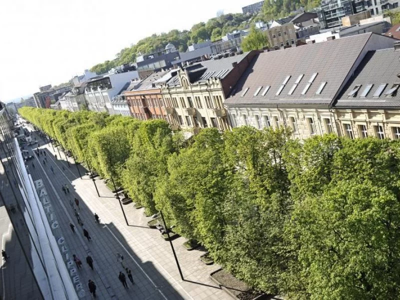 valdininkai