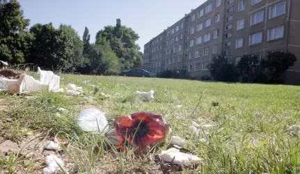 Kiemų valymas – vėl aklavietėje