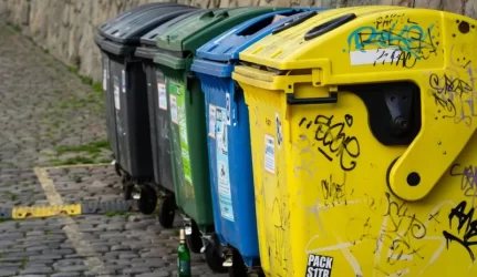 Kiemuose jau graso infekcija