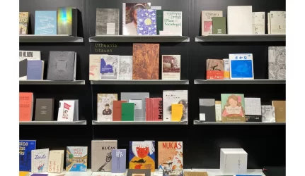 Kultūros ministras apie rekonstruojamas Kauno kultūros įstaigas ir A. Miškinio kolekciją