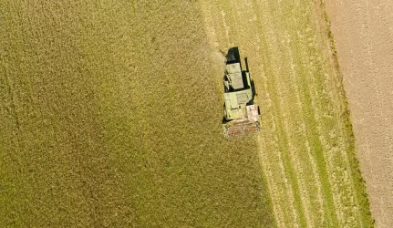 Norintiems išsipirkti žemę – neįkandamos kainos