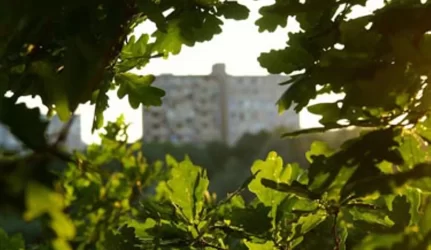 Plungė būsto kainos