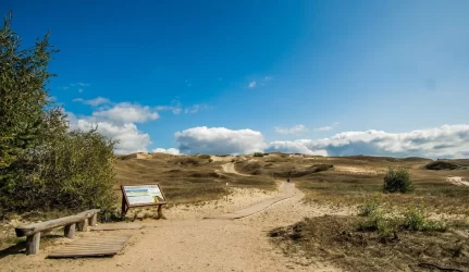 “Rusiškoje” Kuršių nerijoje statybų nebus