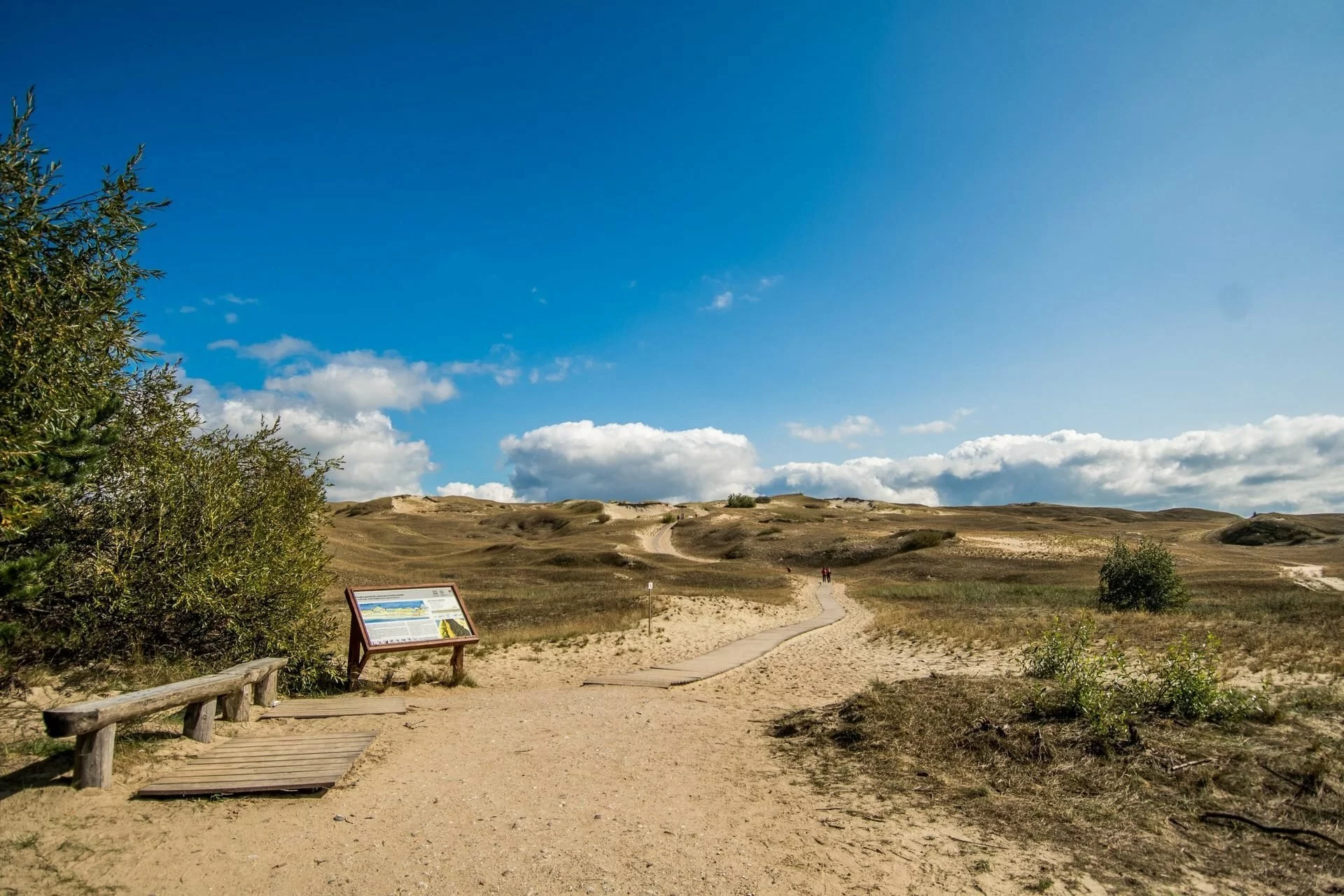“Rusiškoje” Kuršių nerijoje statybų nebus