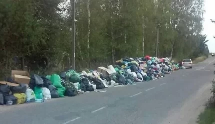 Pakelių šiukšlynai