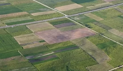 Kvartalą liepta sulyginti su žeme