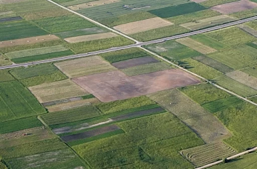 Kvartalą liepta sulyginti su žeme