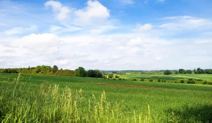Žemės ūkio paskirties žemės pardavimas