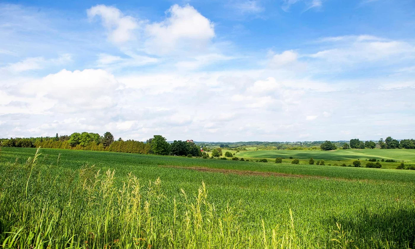 Žemės ūkio paskirties žemės pardavimas