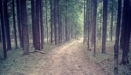 Valstybiniai parkai nuosavybės teisės