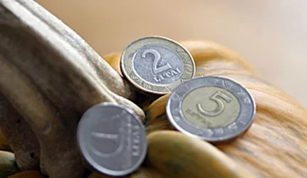 Už “Teo LT” paslaugų atnaujinimą – 15 litų mokestis