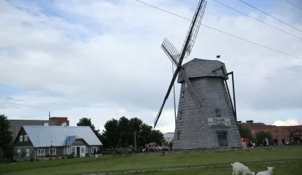 Žaliūkų malūnas