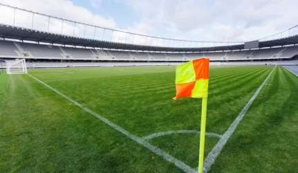 Stadiono rekonstrukcija suris 2 mln. litų