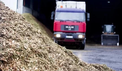 Brangstant dujoms, biokuras būtų alternatyva