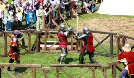 Darbo grupės pasitarimas dėl Hansa dienų