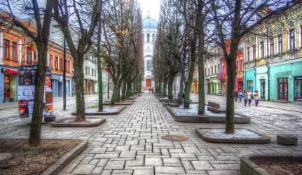 Laisvės alėją siūlo skelbti laisva ekonomine zona