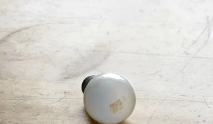 Lenkijos atominė elektrinė