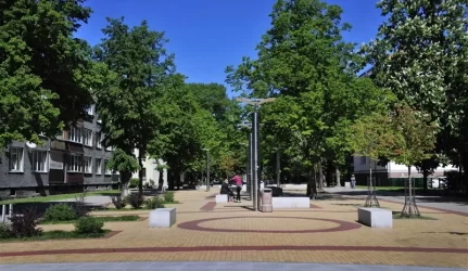 M. Mažvydo alėjos medžiai nesulaukia žiemos