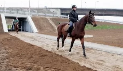 Marvelės dviejų lygių sankryža pripažinta tinkama eksploatacijai
